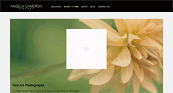 Desktop Screenshot of cameronfineart.com