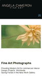 Mobile Screenshot of cameronfineart.com