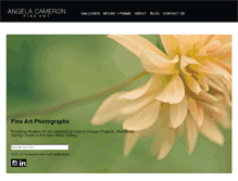 Tablet Screenshot of cameronfineart.com